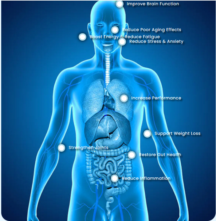 Hydrogen water, improve brain function, reduce aging effects, increase performance, strenghten joints, restore gut health